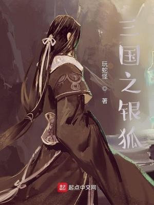三国之银狐全文免费阅读