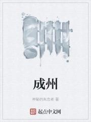 成州是哪个城市