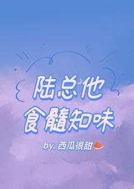 陆总他食髓知味免费阅读作者西瓜很甜著