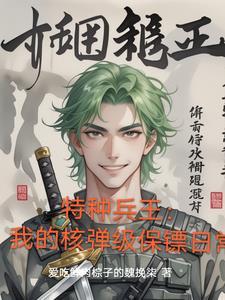 我是特种兵的兵王
