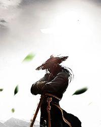 战王狂妃 凉音小荷
