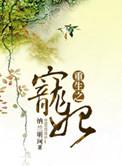 重生之宠妃上位